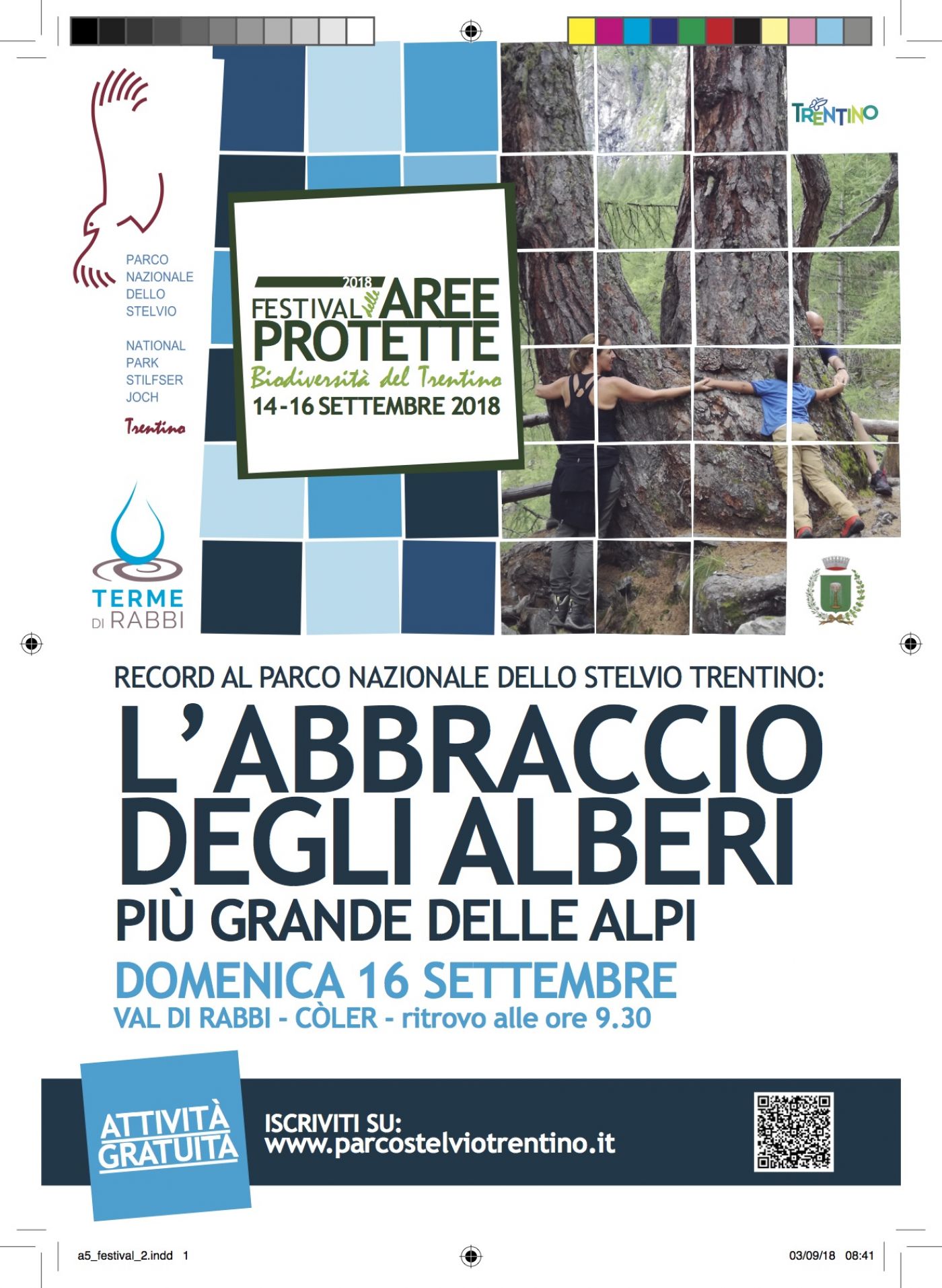 Tree Hugging at Parco nazionale dello Stelvio- Italy