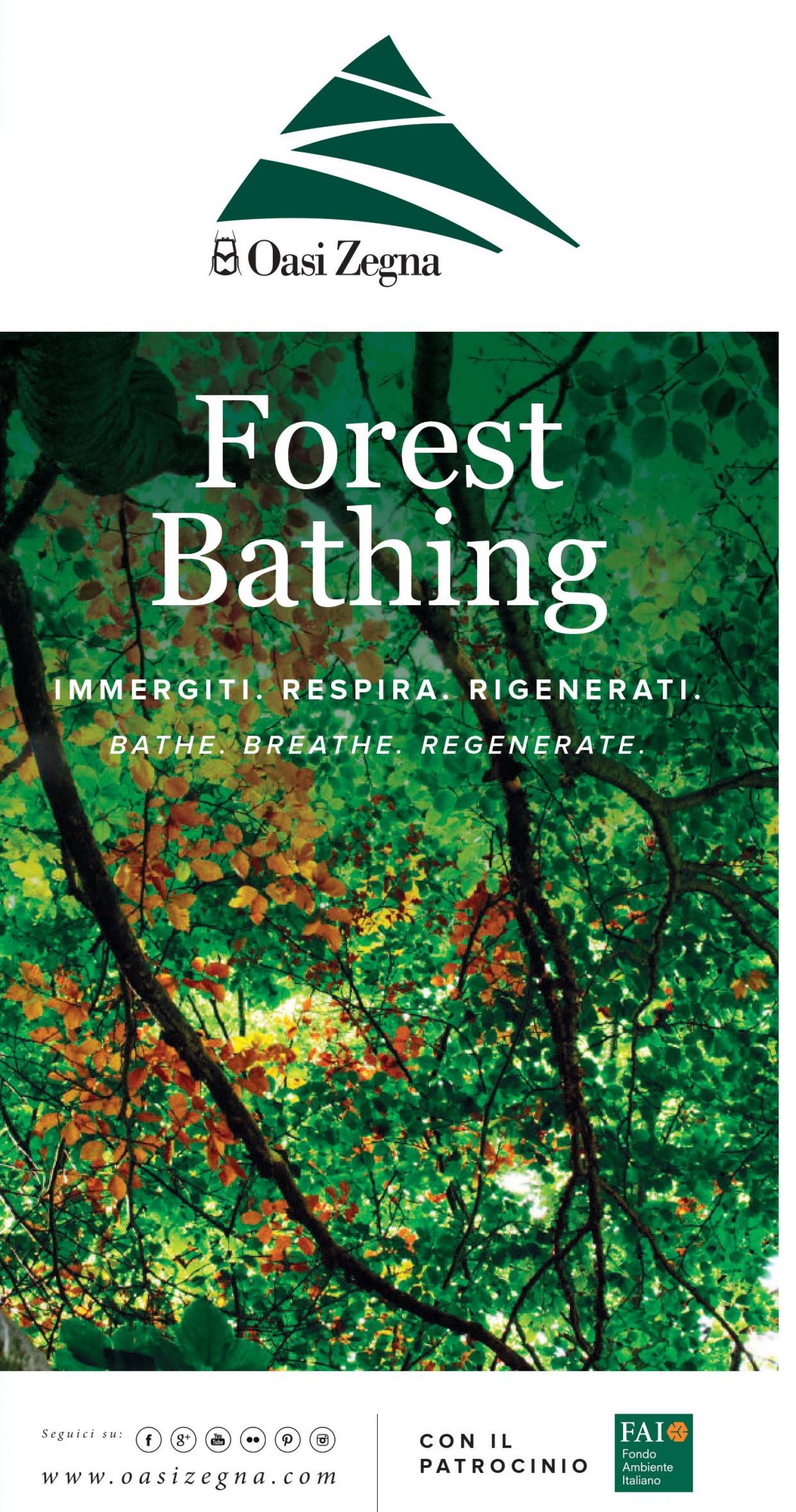 Forest Bathing - Oasi Zegna