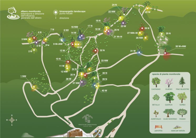 Tenuta de L'Annunziata - Bioenergetic path